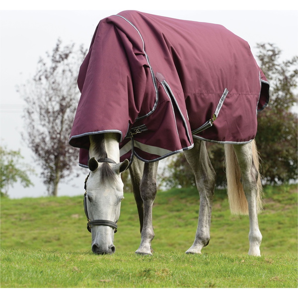 2024 Weatherbeeta Comfitec Plus Dynamic II Detach-A-Neck Heavy Turnout Rug 1006926 - Maroon / Grey / White